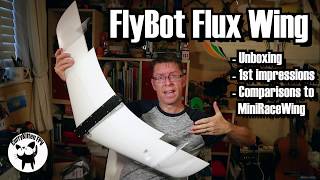 Flybot Flux aFPV-Racing-Flying-Wing video review and merits by AI Analyzed