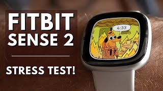 Google Fitbit Sense-2 video review and merits by AI Analyzed