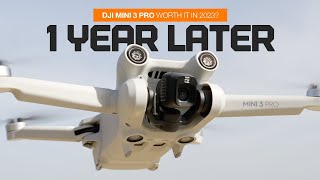 DJI Mini 3-Pro video review and merits by AI Analyzed