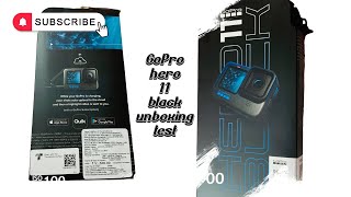 GoPro HERO 11 video review and merits by AI Analyzed
