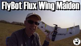 Flybot Flux aFPV-Racing-Flying-Wing video review and merits by AI Analyzed