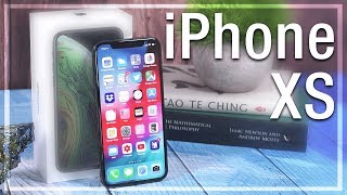 Apple iPhone aXS video review and merits by AI Analyzed