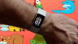Fibit Charge a6 video review and merits by AI Analyzed